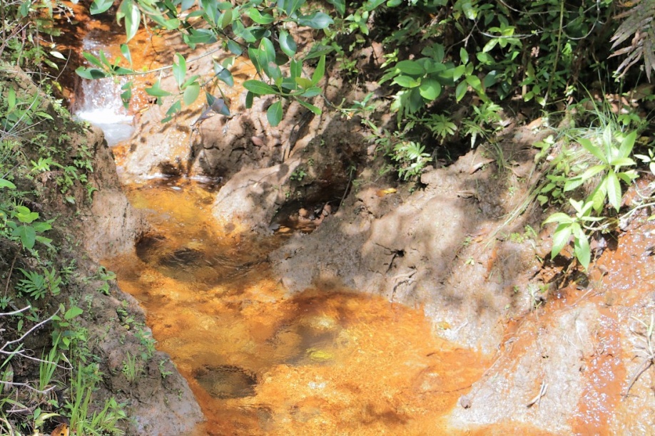 En Puerto Gaitán se hará un proyecto de reforestación para reconectar dos fuentes hídricas 1