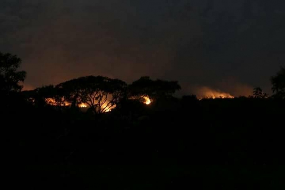 Incendio forestal ha consumido 200 hectáreas en La Macarena 1