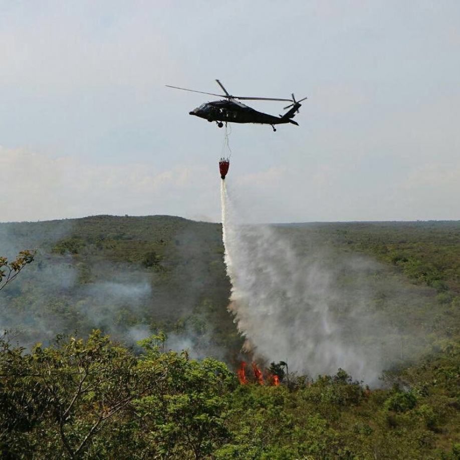 Incendio forestal consumió 1600 hectáreas en La Macarena 1