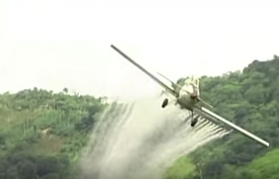 “Colombia no retomará fumigaciones aéreas con glifosato”: Minambiente 1