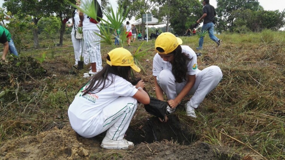 Sembrarán 1.150 árboles en Puerto Gaitán 1