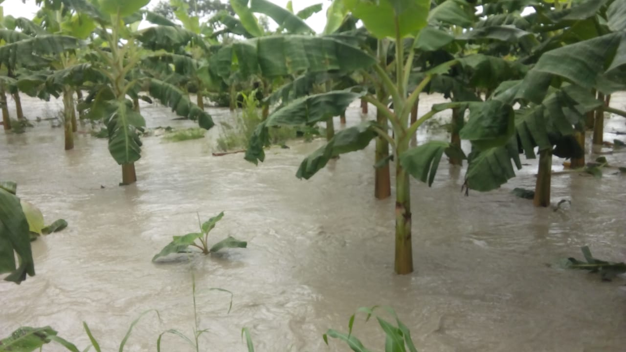 Fuertes lluvias afectaron cultivos, viviendas y vías en varios municipios del Meta 1
