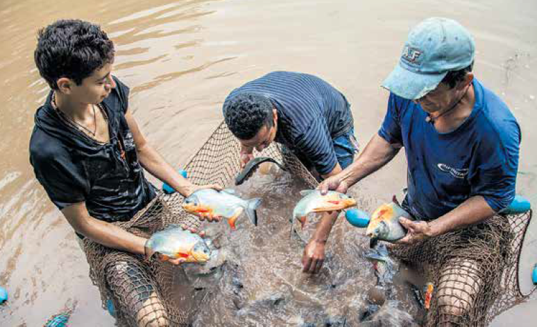 Pescadores sostenibles con los ríos de P. Gaitán 1
