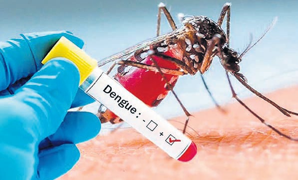 Avanza el dengue en el Meta 1