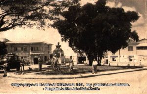 Salvarán icónico árbol de la Plazoleta Los Centauros de Villavicencio 3