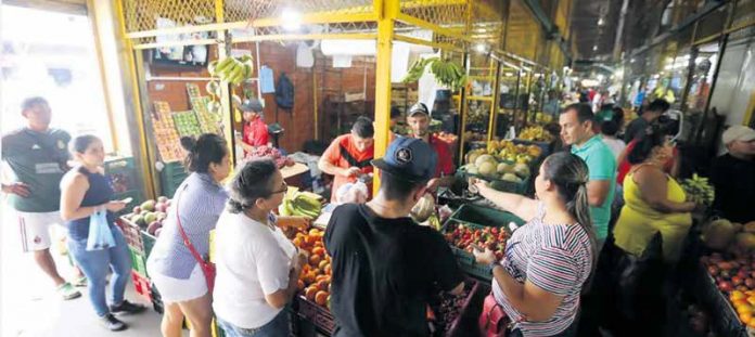 Campo alimentos