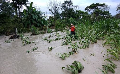 Precipitaciones inundaron cultivos en El Dorado - Meta 1