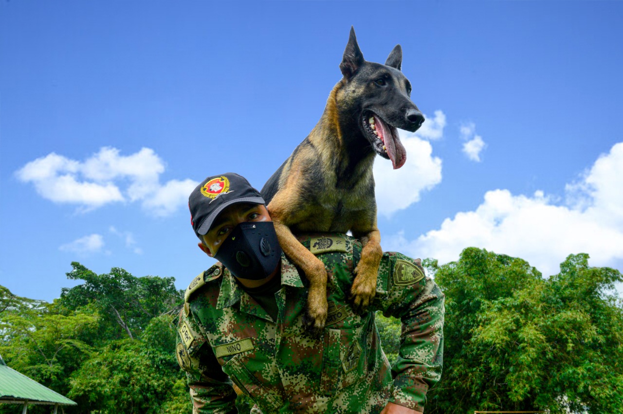 El 'Binomio Canino' del Ejército 1