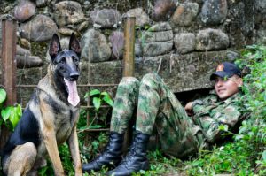 El 'Binomio Canino' del Ejército 3