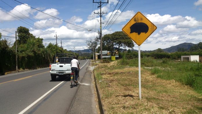 vías animales