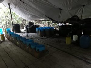 Duro golpe al narcotráfico en San José del Guaviare 2