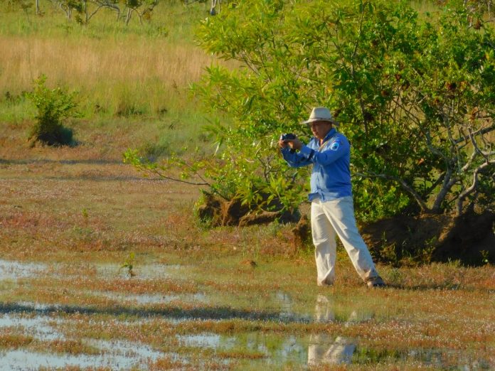Pajareros Cinaruco