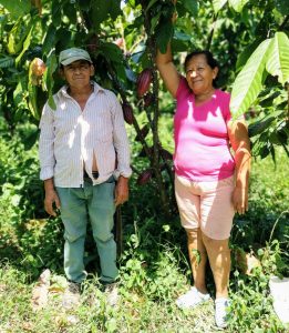 Mujeres de Guamal beneficiadas con proyectos de cacao 4
