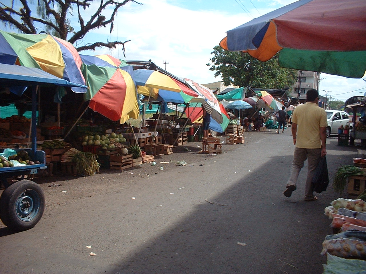 Así se dividirá el polígono de vida en el centro de Villavicencio para el comercio informal 1