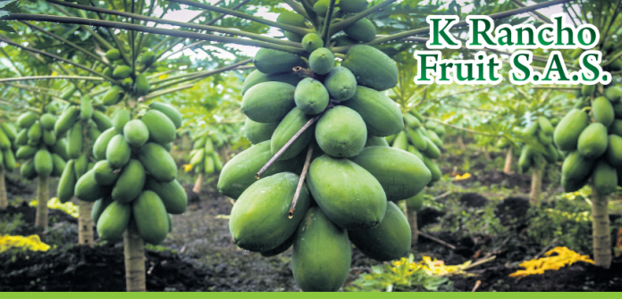 papayas