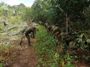 Operaciones en Guaviare destruyeron más de 3 millones de matas de coca en junio 3