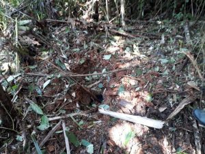 Ejército Nacional en el Guaviare halló 40 minas antipersona 3