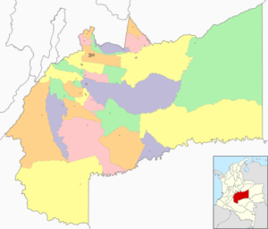 Incrementó asesinato a líderes durante el primer semestre del 2020 6