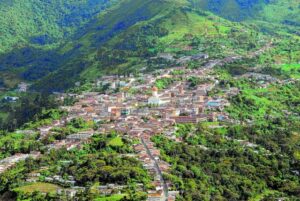 Protegerán bosque nativo en Uribe - Meta 2