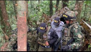 Ejército liberó secuestrados en Guamal 3