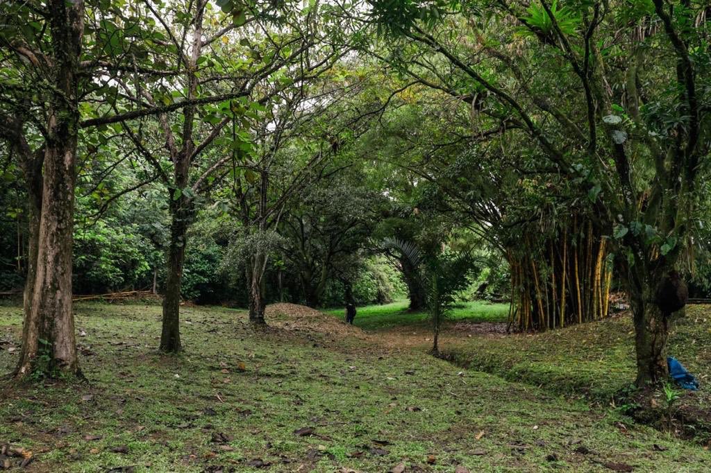Cormacarena entregó licencia ambiental para construir Parque Alma Viva  1