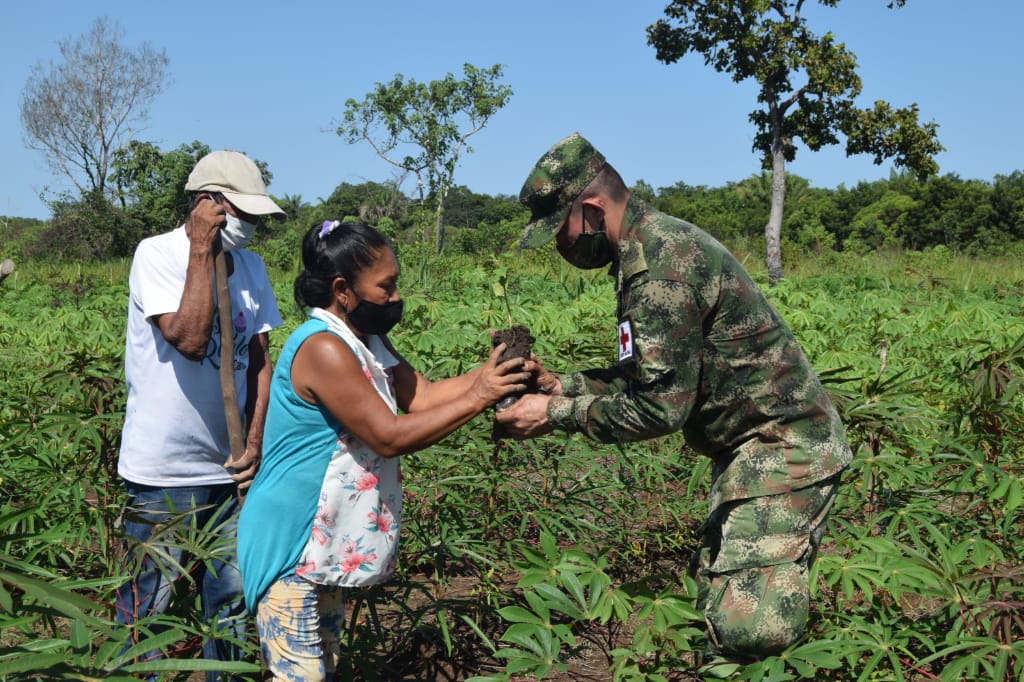 Comunidades indígenas y Ejército comprometidos con la reforestación 1