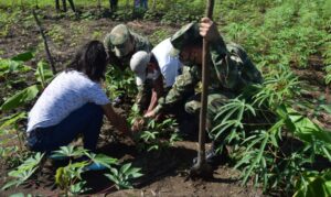 Comunidades indígenas y Ejército comprometidos con la reforestación 2