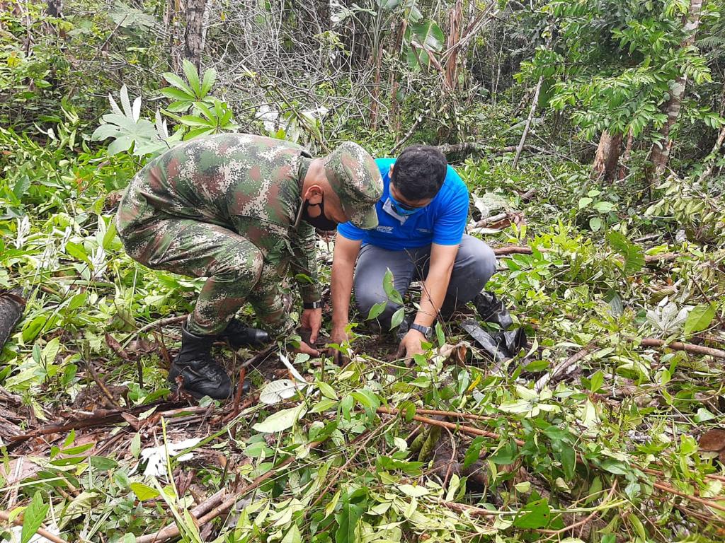 Soldados apoyaron la siembra de cacao en Puerto LLeras 1