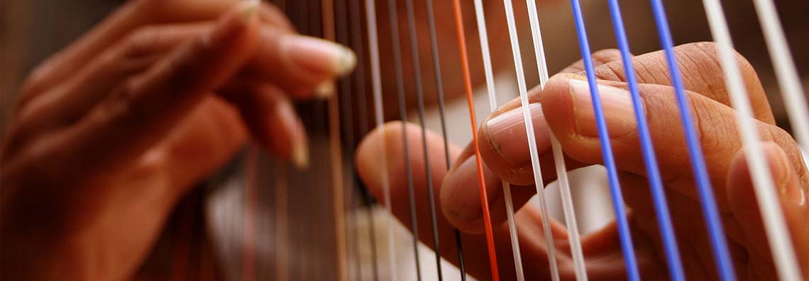 ¡Arpa! | Opinión 1 ¡Arpa! | Opinión 1
