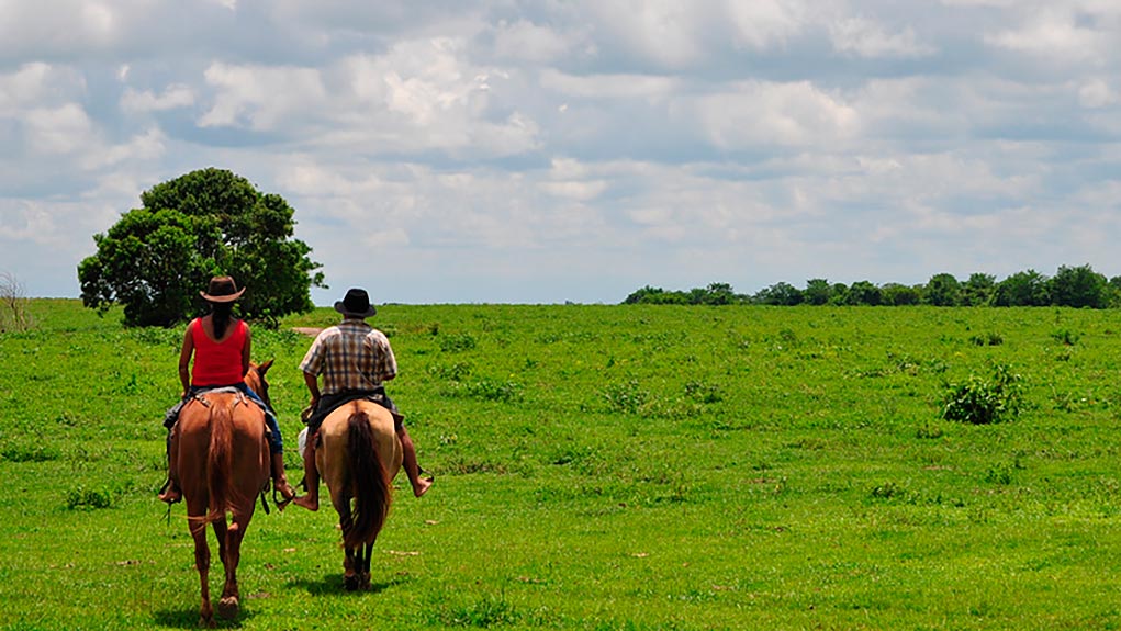 La consulta campesina | Opinión 1