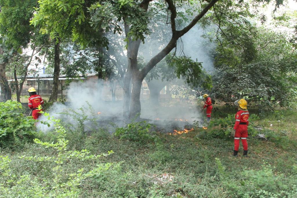Autoridades hacen llamado a no hacer quemas forestales 1