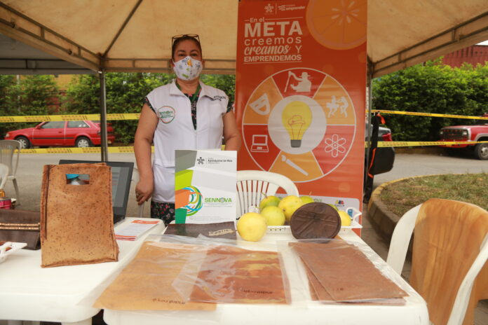 FOTO BIOPLÁSTICO MARACUYÁ 1