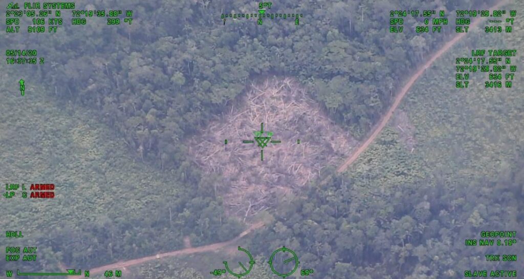 Juez ordenó cerrar trocha ilegal que deforestó 30 kilómetros de selva 2