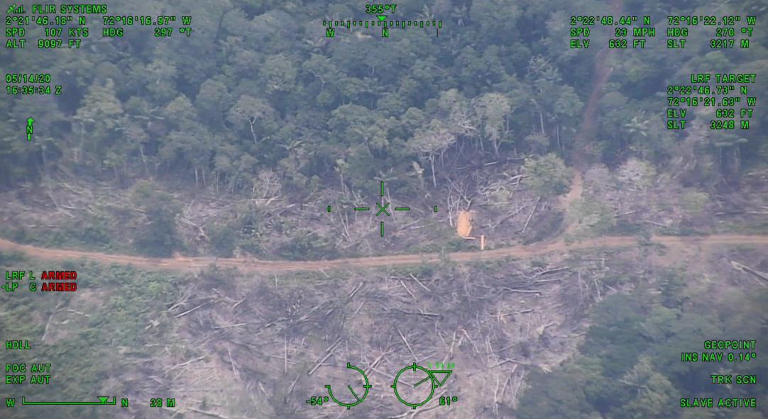 Juez ordenó cerrar trocha ilegal que deforestó 30 kilómetros de selva 1