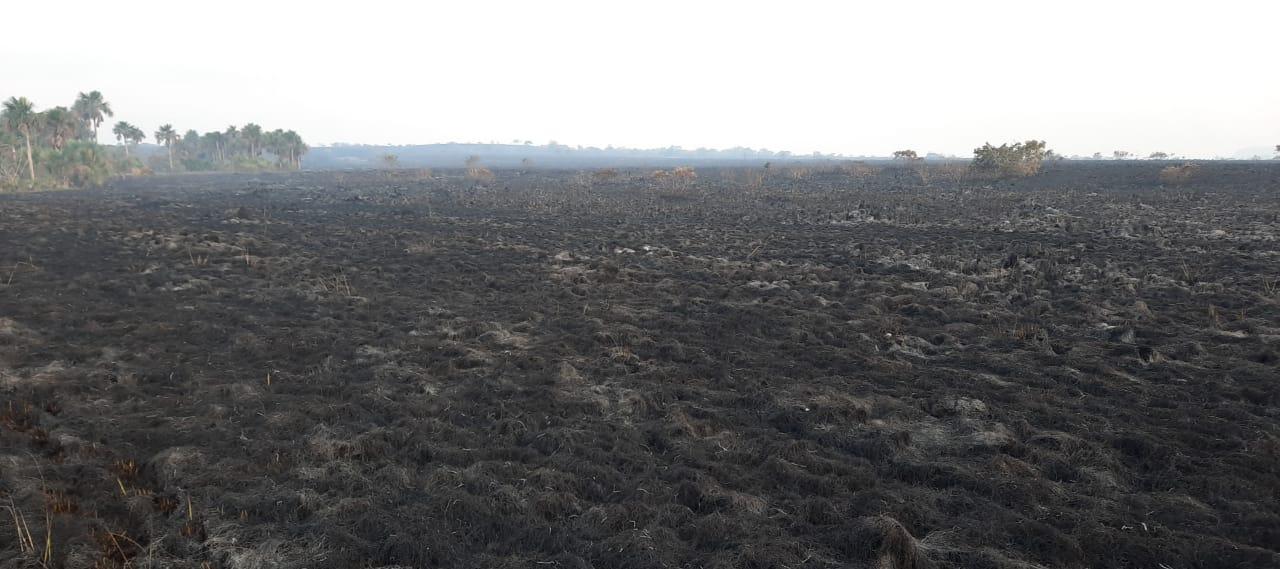 Logran extinguir incendio forestal en La Macarena 1