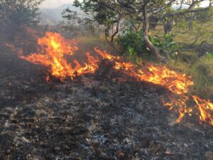Logran extinguir incendio forestal en La Macarena 2