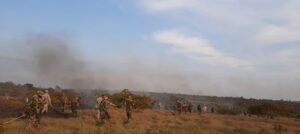 Logran extinguir incendio forestal en La Macarena 5