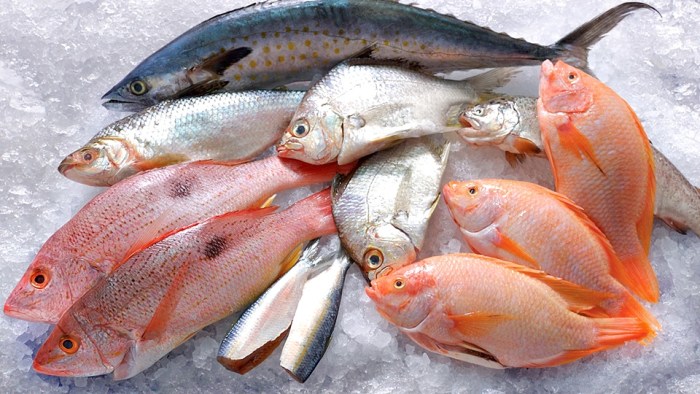 Recomendaciones para el consumo de pescado en Semana Santa 1