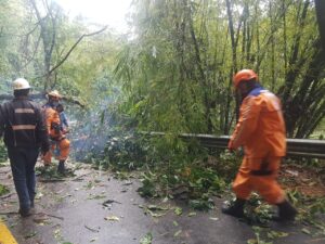 Las lluvias continúan afectando a sectores en Villavicencio | Noticias de Buenaventura, Colombia y el Mundo