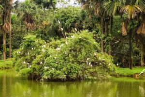 Reservas naturales de Villavicencio serán públicas 2