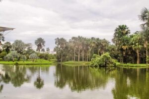 Reservas naturales de Villavicencio serán públicas 4