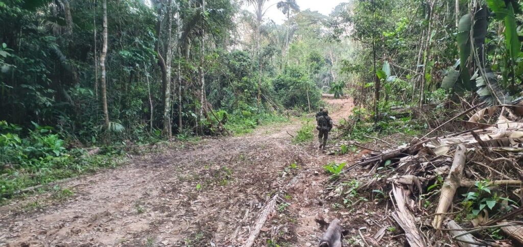 Deforestando, hacían una carretera ilegal en selvas de Mapiripán 2