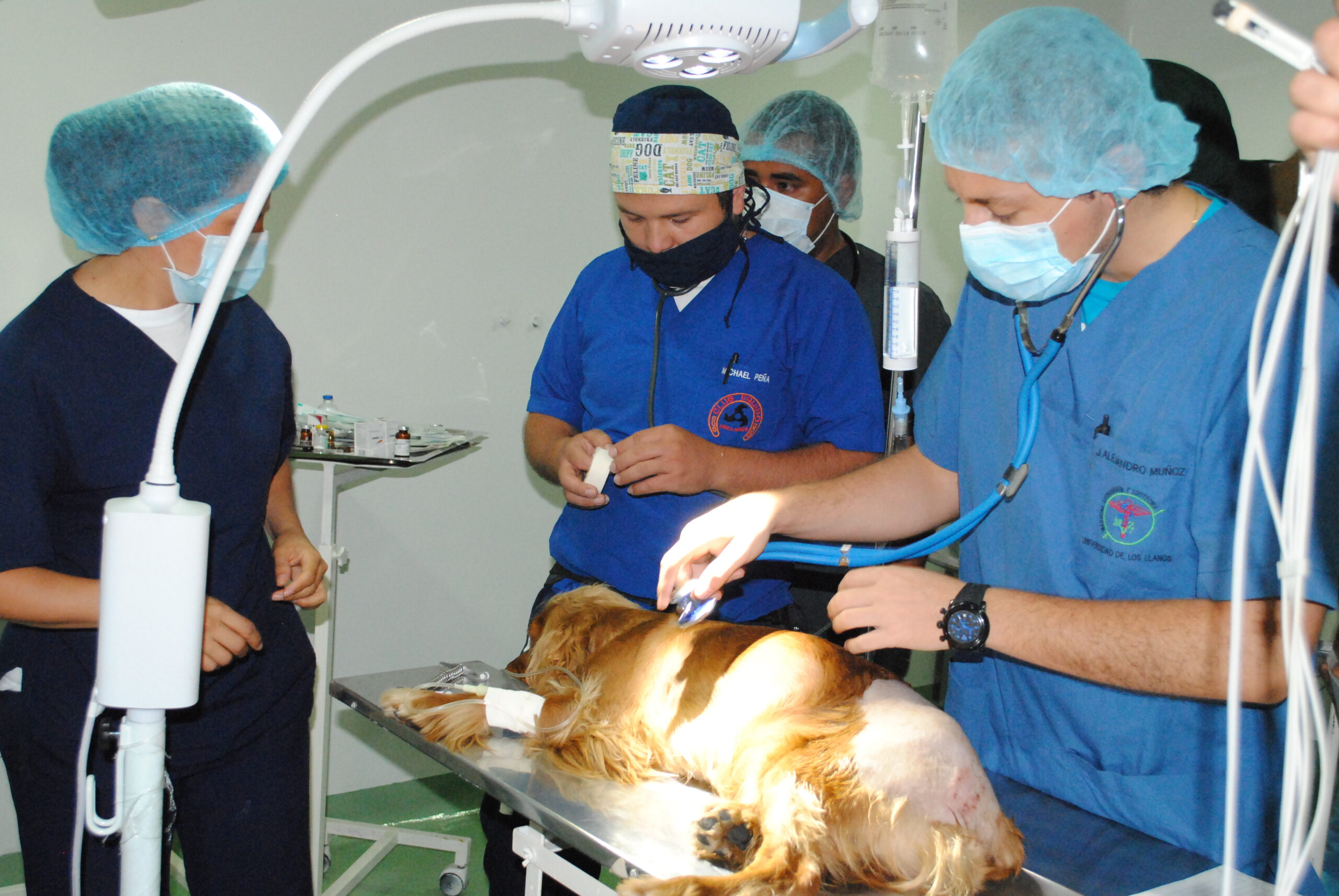 Medicina veterinaria de Unillanos logró acreditación internacional 1