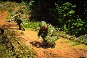 Seis personas capturadas por deforestación en la Reserva Nacional Natural Nükak 4
