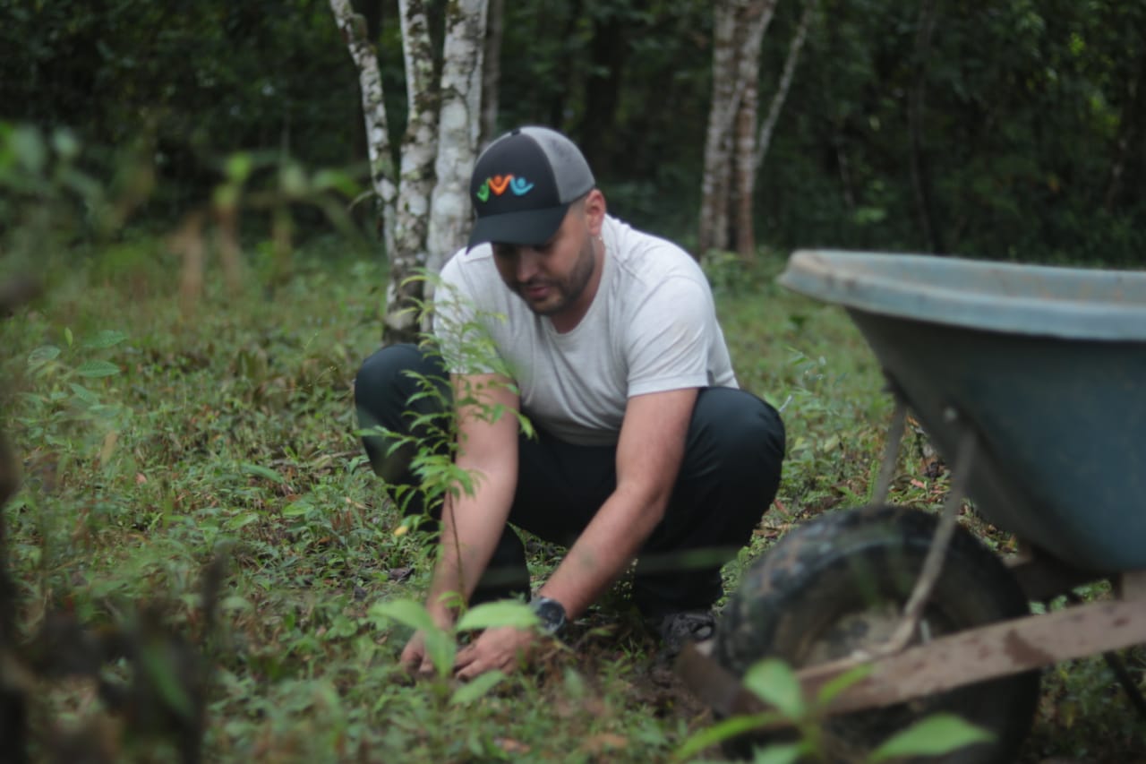 Un total de 1.000 árboles nativos fueron sembrados en Uribe 1