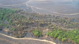 Cerca de 1.200 hectáreas afectadas dejó incendio forestal en Puerto López 2