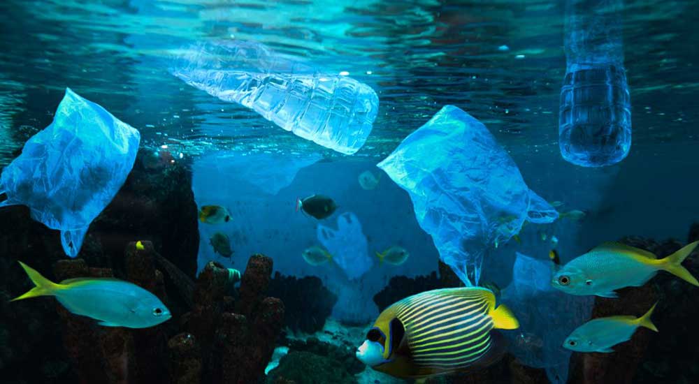 El plástico crece y el reciclaje se rezaga, advierten ambientalistas 1