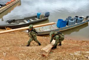 Ejército Nacional incautó madera ilegal en Vaupés 2