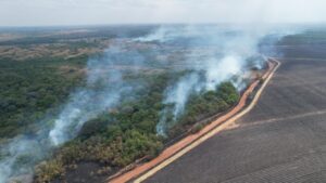 Cerca de 1.200 hectáreas afectadas dejó incendio forestal en Puerto López 3