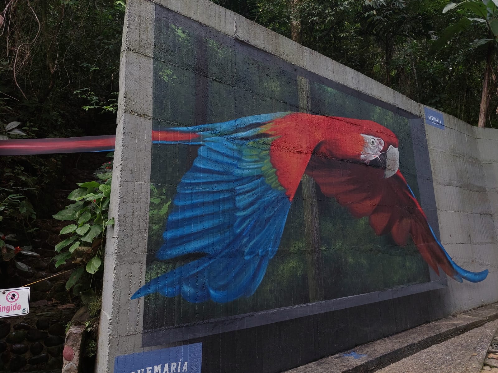 Murales 3D: la nueva oferta turística del Bioparque Los Ocarros 1